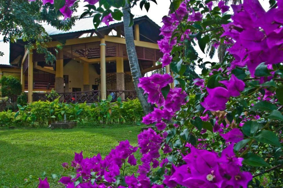 Crystal Paradise Resort Spa & Winery Narra Kültér fotó